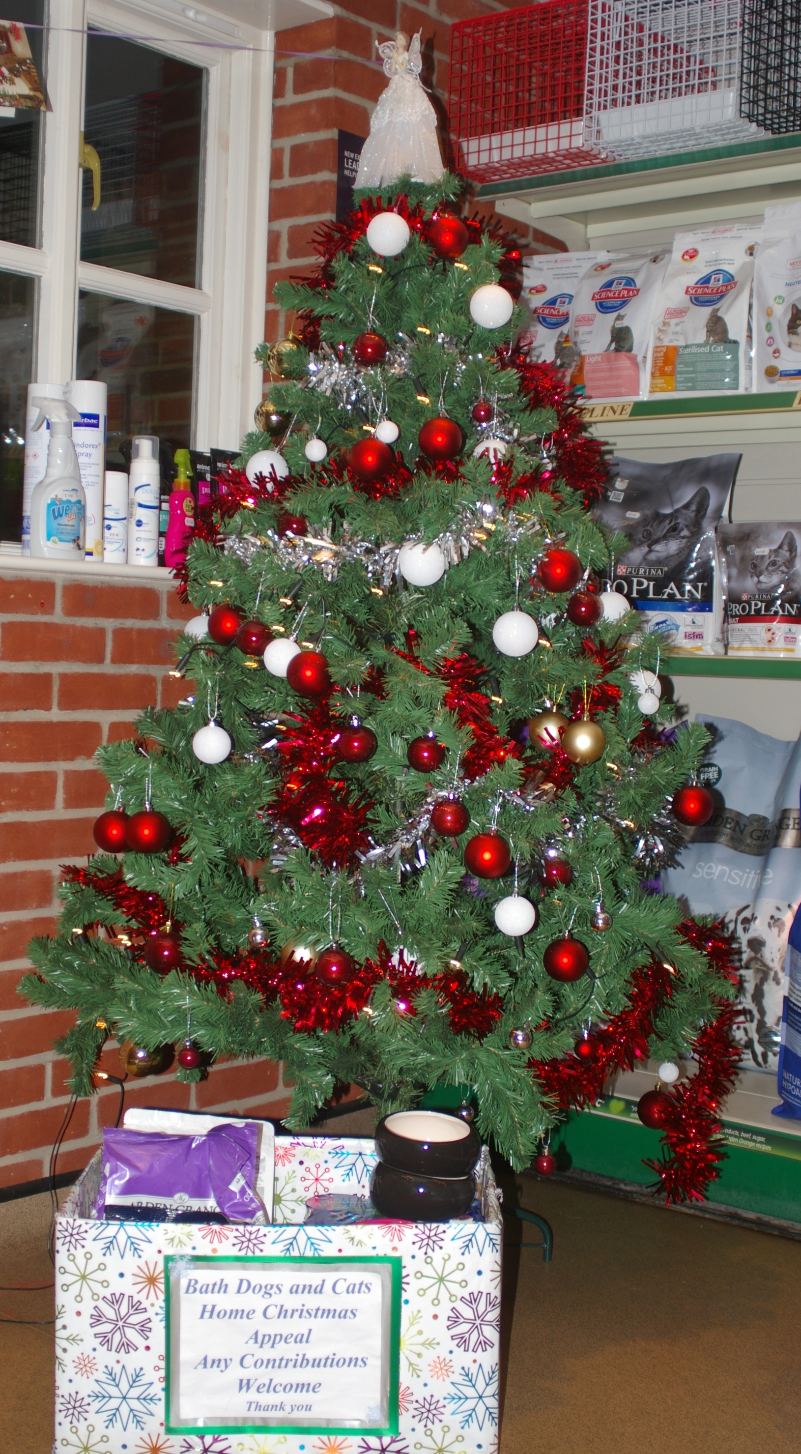 Picture of Christmas tree